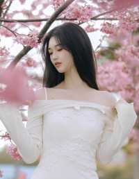樱花如诗