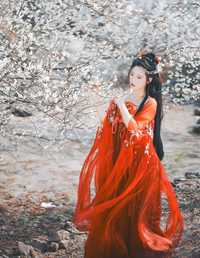 梅花古风人像拍摄 浅月没有月