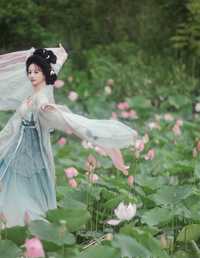 风吹荷花香 飘飘不吃草