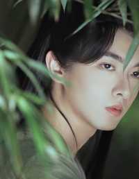 醉卧听竹 白云苍狗狗狗狗