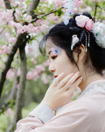 樱花红陌上，相思又一年