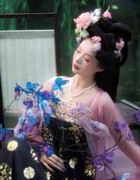 镜花水月 蔸小黄鸡