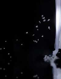 冷清溶溶月 美琪