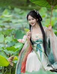 雨中荷花 湫一只岁岁