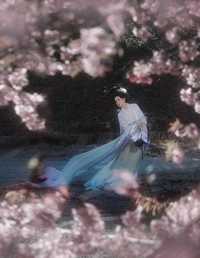 绣面芙蓉一笑开，斜飞宝鸭衬相腮 瑜瑾