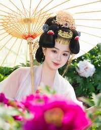 花宴唐韵：盛世红颜的花间行