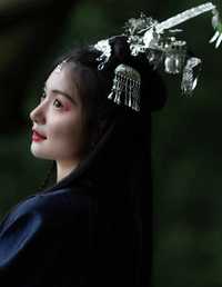 昔我往矣，杨柳依依