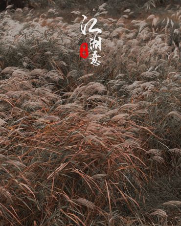 江湖意·岁寒