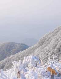 风雪千山 有耳阿郁