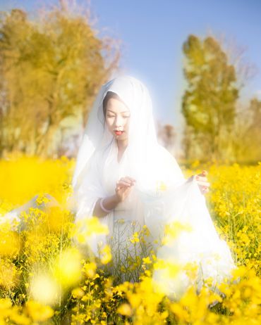 姿容清丽厌奢华，淡淡平平不自夸。
