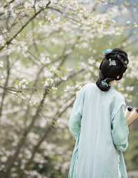 落樱拂素衣 川川