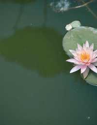 半篓春 吴莹琨琨