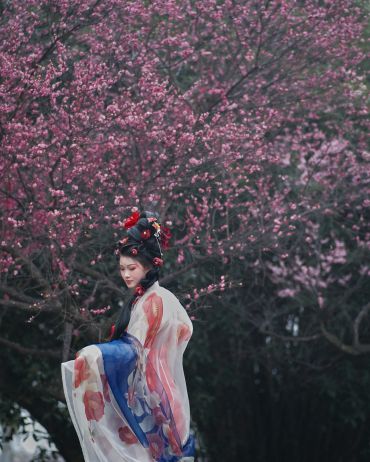 相思一夜梅花开
