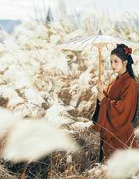 只身赴关山 堂堂