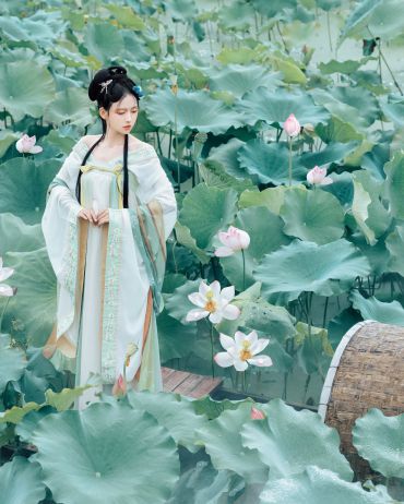夏荷