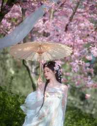 花间一曲，梦回千年