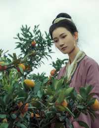 大橘为重 冰皮月亮蛋