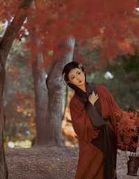 枫林红透 景初初初初