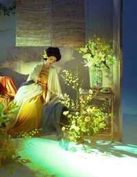 美人卷珠帘 荷里寒