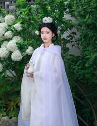 木绣球下的神女 南瓜粥