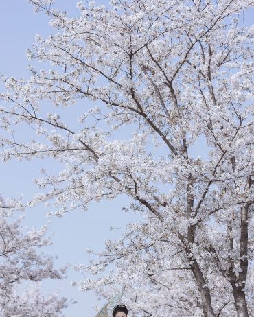 满头雪