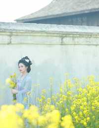 唐风写真油菜花