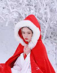 大雪 沂越