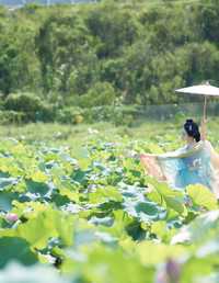 小荷才露尖尖角 薯片yoyi