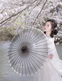 故园赏樱 比奇堡最漂亮的女人