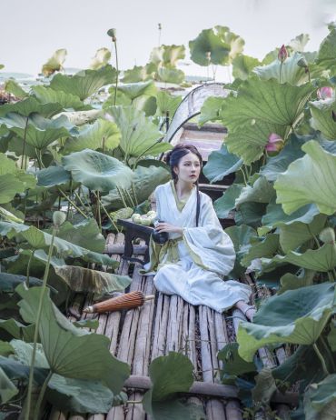 夏季菡萏少女