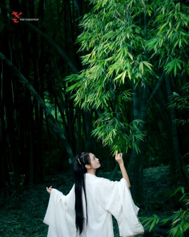 竹影