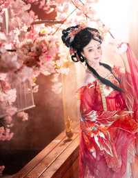 锦鲤琳琅 Disexi思宁