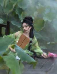 荷 _ 绿 落雨清玲