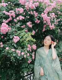 记忆是无花的蔷薇 苗苗