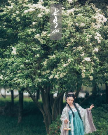 《女贞花》