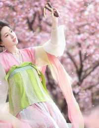 谁倾城美丽 别过了虞姬