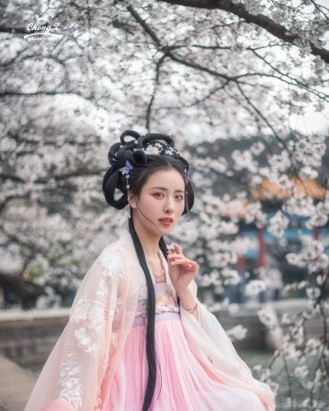 樱花樱花
