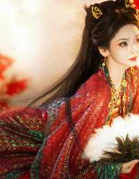 子夜归猫公 公羽六六