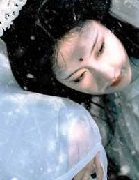 琉璃世界，白雪红梅 荷里寒