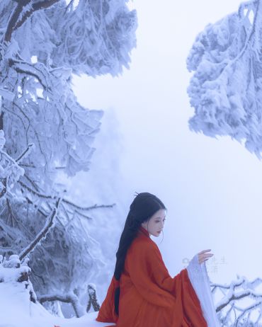 他朝若是同淋雪,此生也算共白头