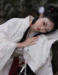 仙鹤 小羊爱干饭