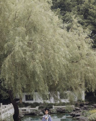 念故人
