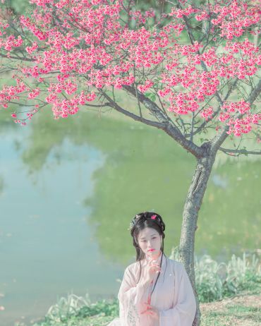 樱花海