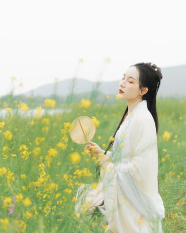 油菜花～