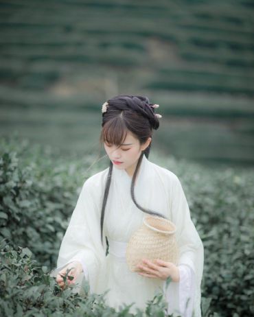 山樱如美人