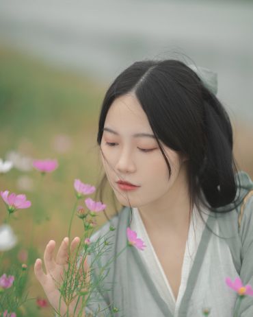 「清平调」格桑花