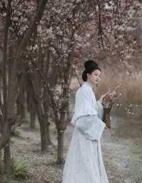 探芳