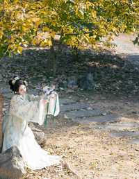 纸鸢 就是叫美男啊