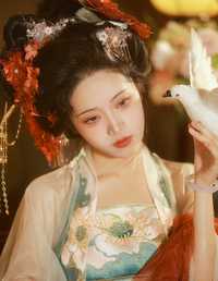 华丽唐风 绵绵思远道