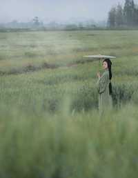 悠悠麦浪 凌子兮